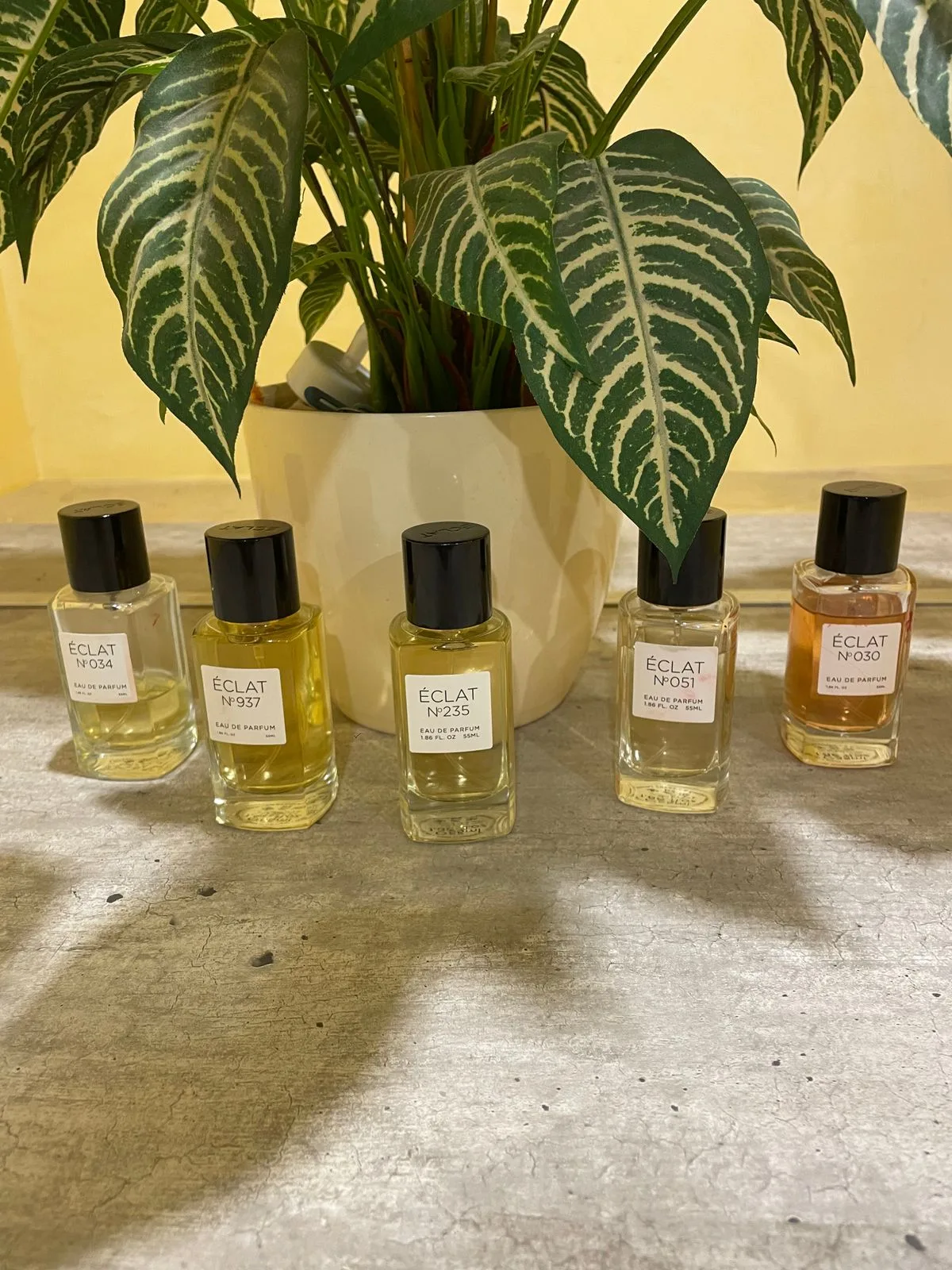 ÉCLAT 051 - Captivating mixture » Fragrance for Women